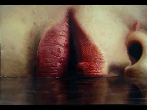 Talha Bora Öğe - Korkmuyorum Aşktan