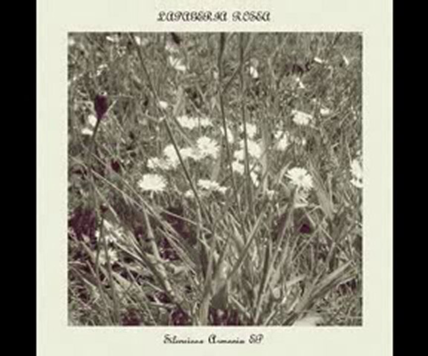 Lapageria Rosea - Encantado