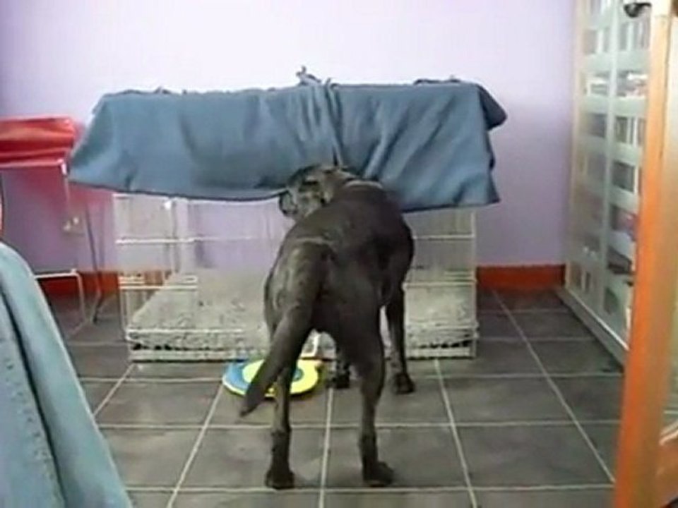 Bonne nuit, Jasper !