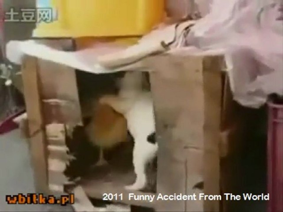 2011  Funny Accident From The World