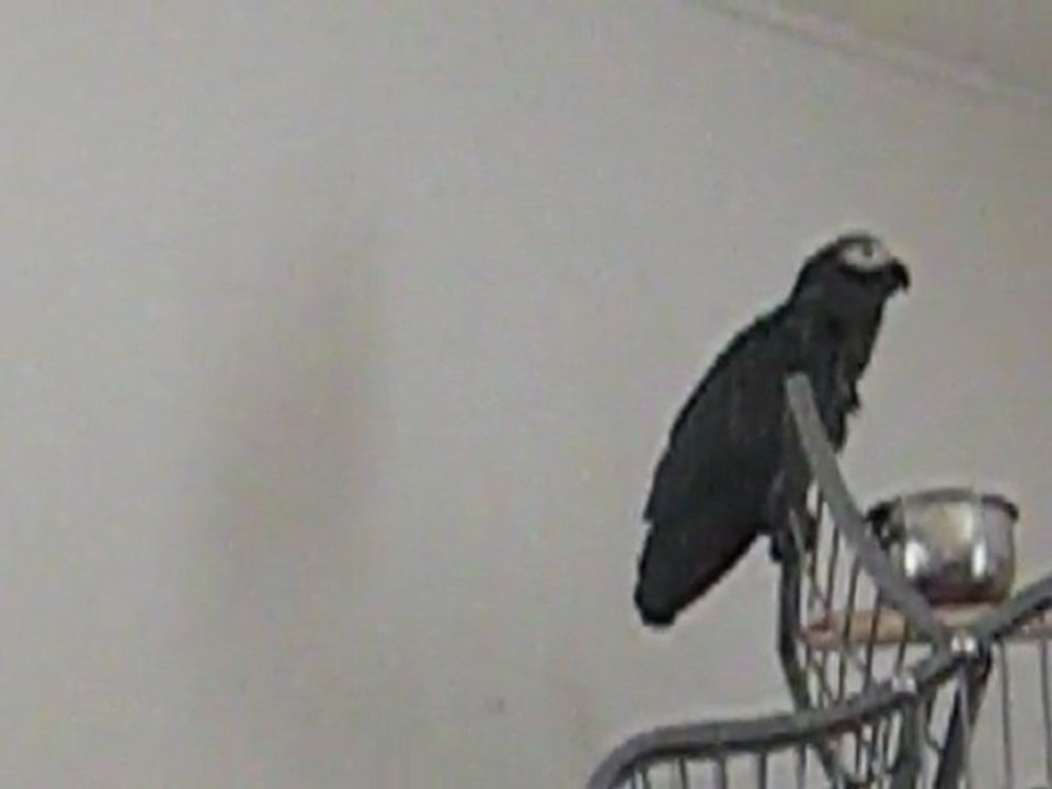 apres le bain la discution