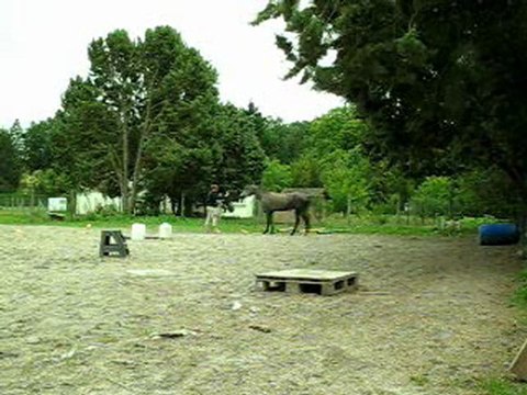 07.11 liberte cercles