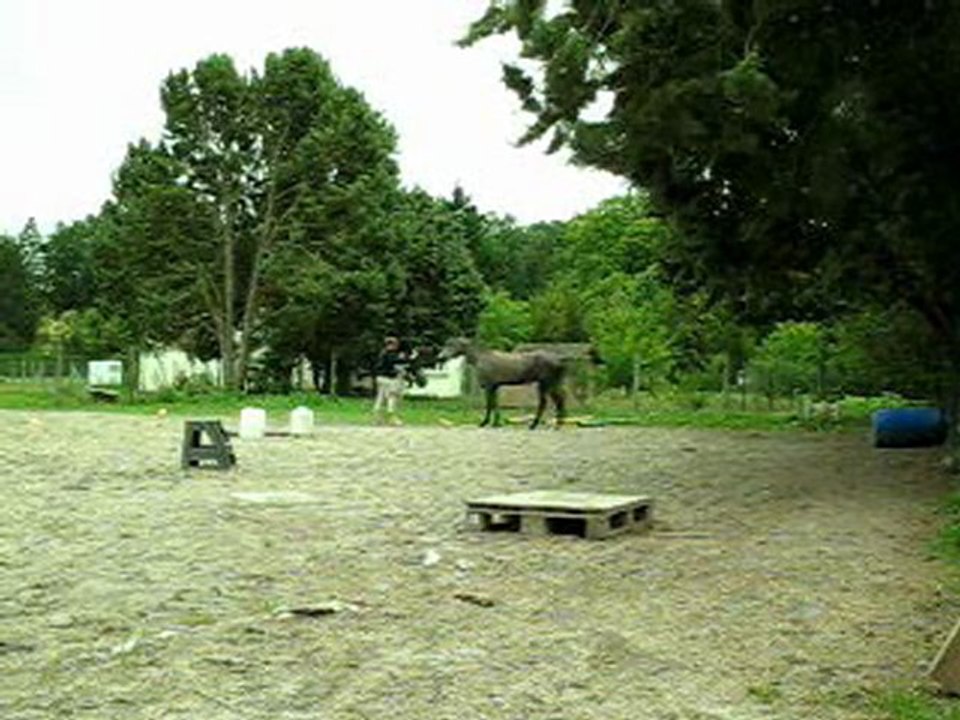 07.11 liberte cercles