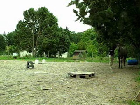 07.11 liberté DL par aspiration