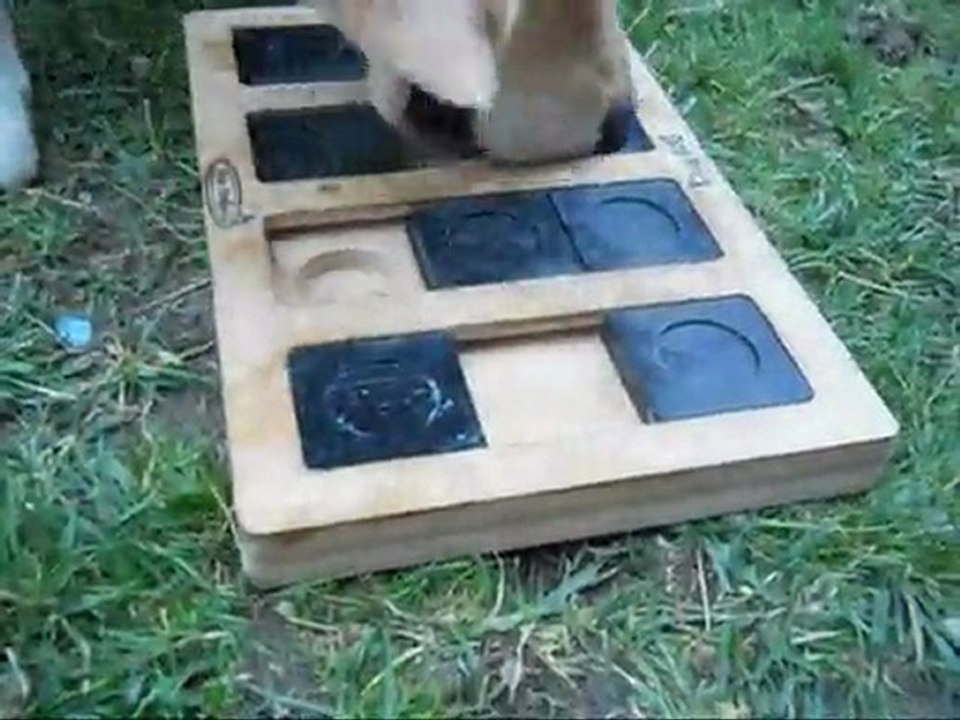Dog Brick