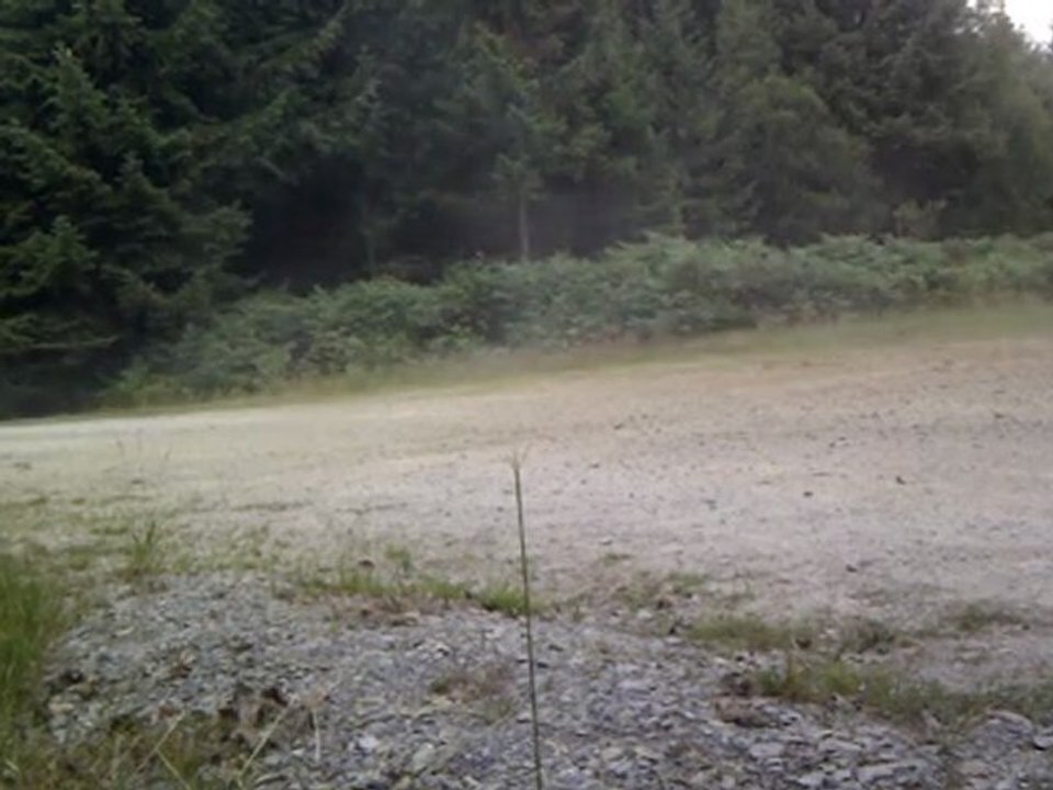 VIDEO0072
