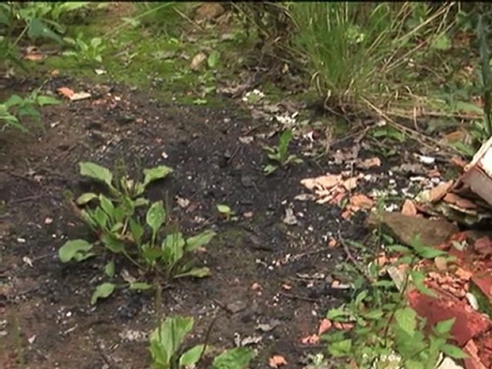 Le Journal vidéo du jeudi 28 juillet 2011, édition de 18h00