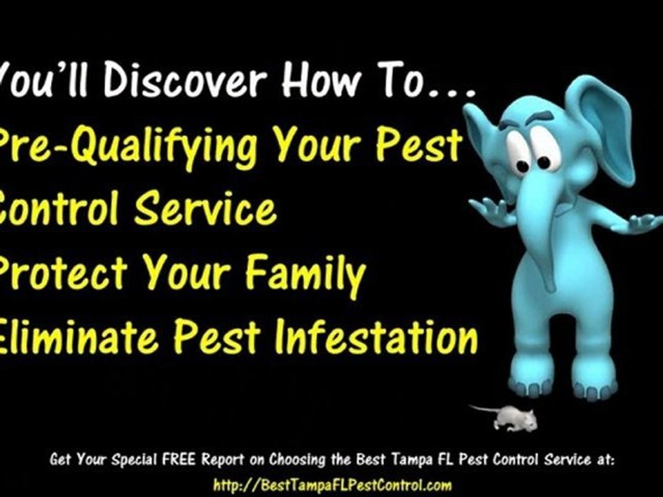 Best Tampa FL Pest Control and Tampa Termite & Pest Control