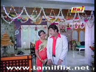 Amara 1 RER: Overview and Features