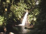 5. Scenic Monteverde Rainforest Walk, Costa Rica