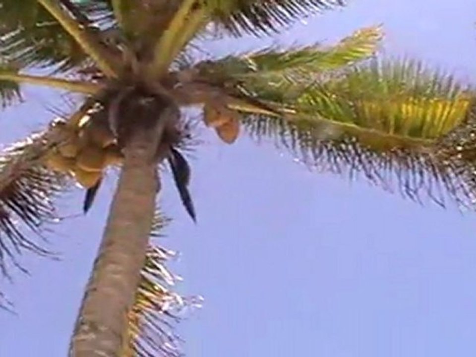 message pour le KS en direct de Tulum