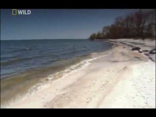 NG | Bilimin Ta Kendisi:  Büyük Göller