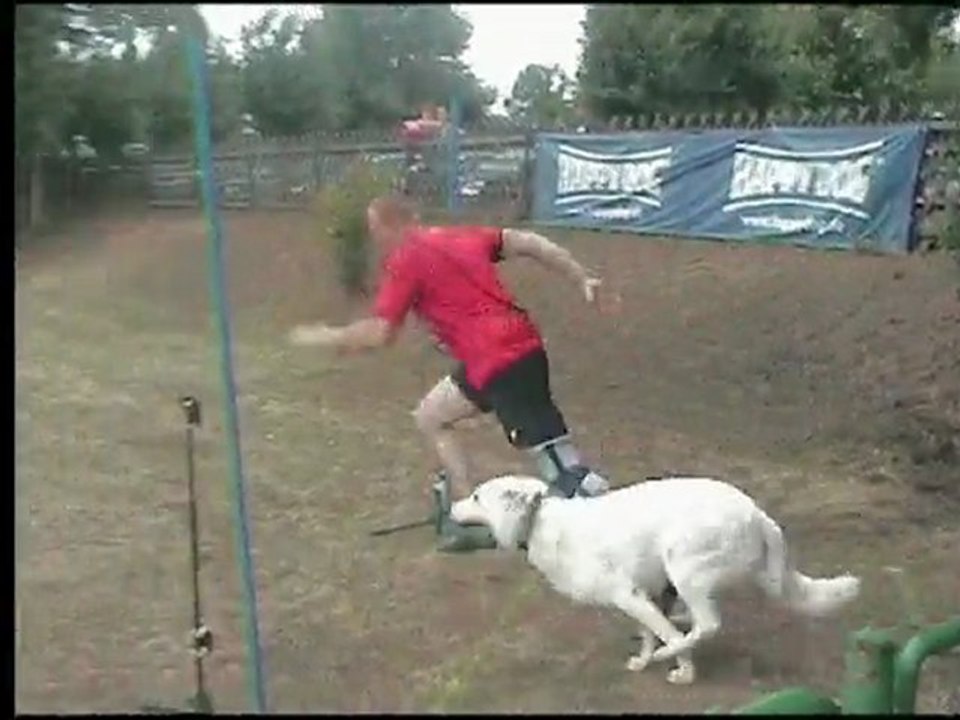 Plankstadtshortyhlqsc