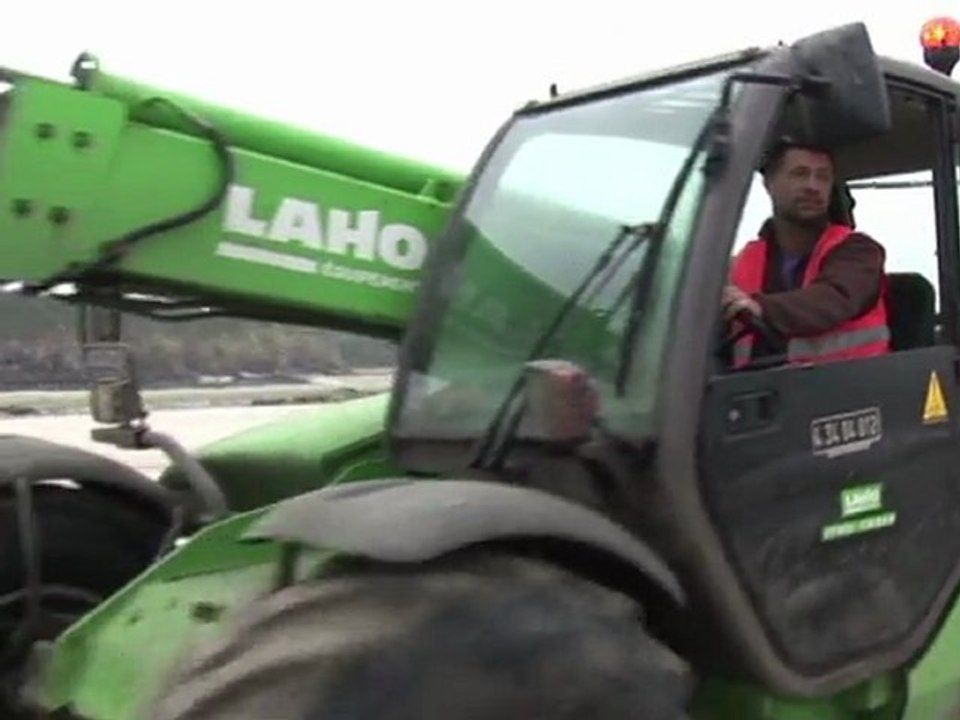 Töten grünalgen wildschweine in der bretagne?