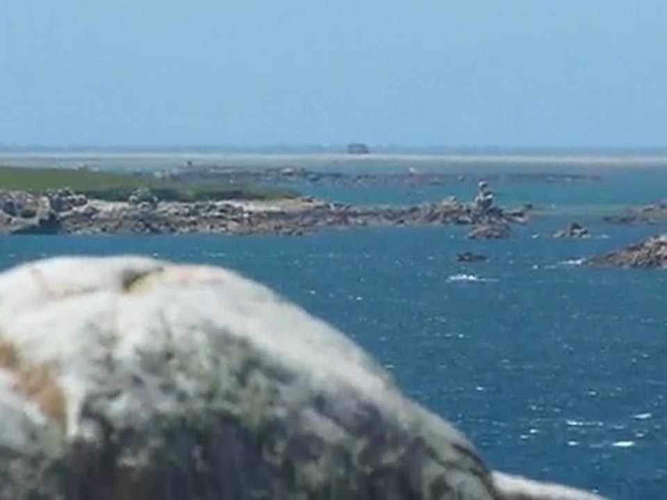 Bréhat_194