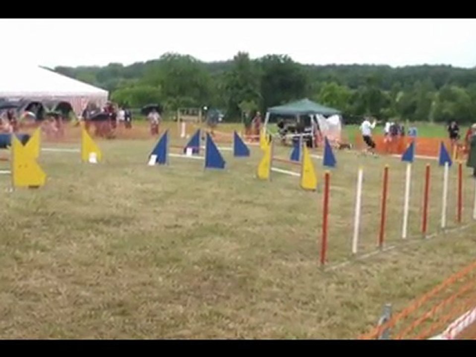Concours d'Obernaumen 2011 - Catégorie C