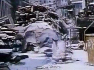 - Les Films Perdus De La Seconde Guerre Mondiale - Aux postes de combat