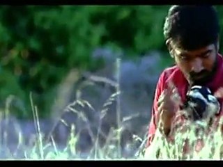 யேடி கள்ளச்சி என்னத் தெரியலயா