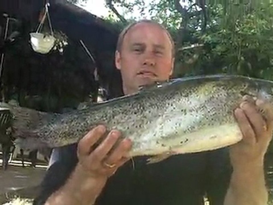 péche de truites farios et arc-en-ciel ruiseau premiere categorie