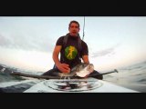 pêche en sup- gros bar- bretagne- quiberon- lagodaille fishing shop-big bass fishing -2011