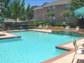 Primrose at Johnson Creek Apartments in Arlington, TX - ...