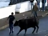 Bulls gegen Menschen. . lassen Sie den Körper auf den Boden