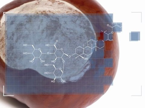 Soin des jambes lourdes - Escine - Actif Pur - Etat Pur