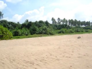 Video herunterladen: Tour Sri Lanka, Travel Sri Lanka, Hotels in Sri Lanka, Holiday in Sri Lanka