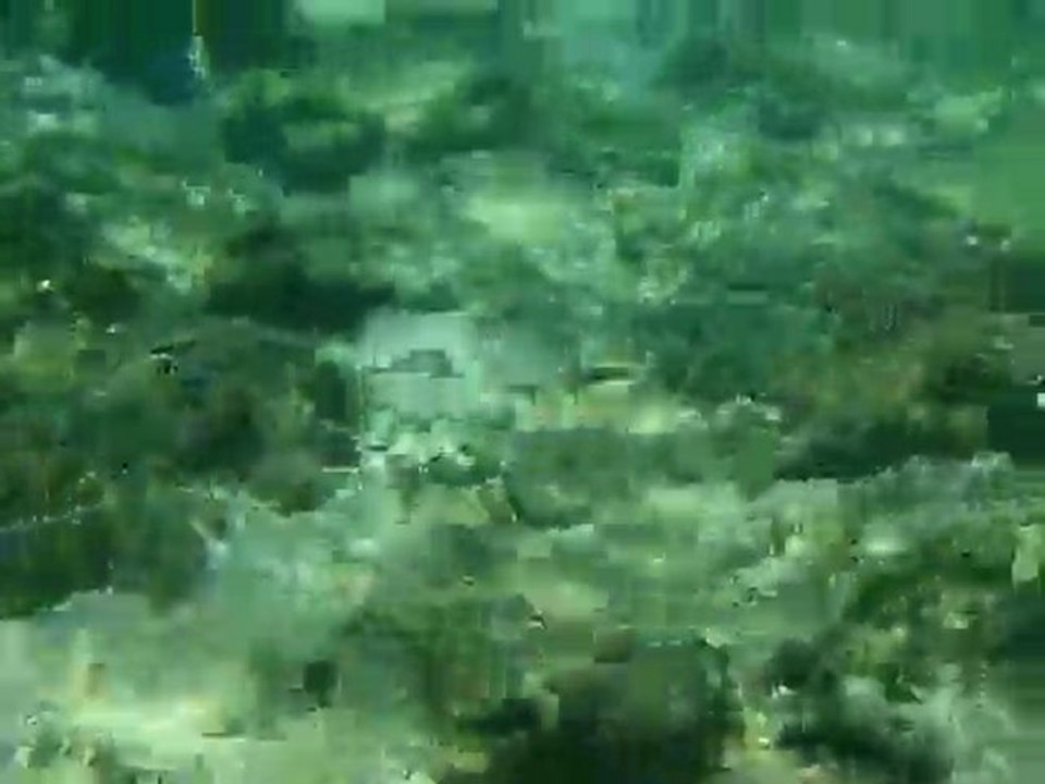 Tour Sri Lanka, Travel Sri Lanka, Hotels in Sri Lanka, Holiday in Sri Lanka