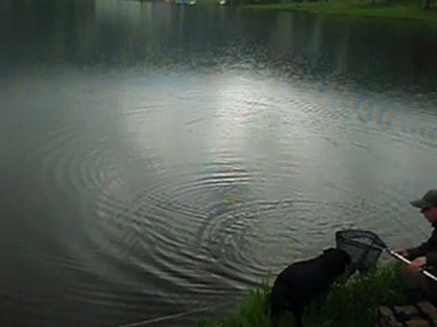 Prise d'une truite arc en ciel au lac des Hermines