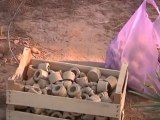 Rebels remove land mines