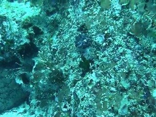 white bank seychelles la digue