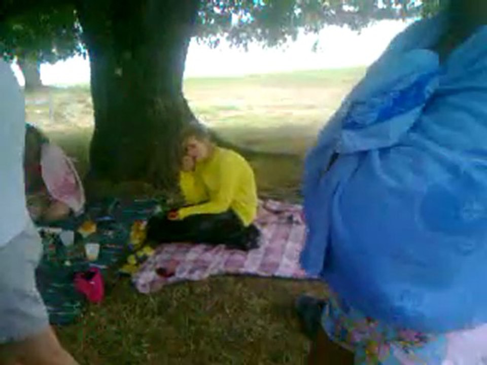 iulie4 2011