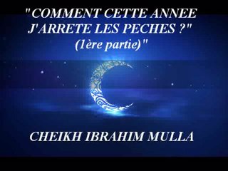 10. "COMMENT CETTE ANNEE J'ARRETE LES PECHES ?" (1ère partie) {Cheikh Ibrahim Mulla}