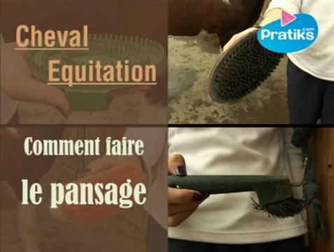 Equitation - Comment faire le pansage d’un cheval