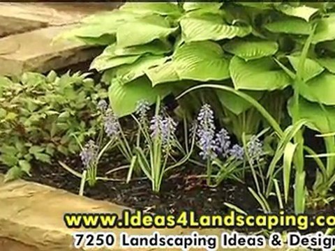 How To Use Landscaping To Increase Your Home Value