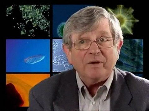 A deux pas du futur - sommes nous seuls dans l'univers ? 10-07-11 dim 10 juil 2011 12-30