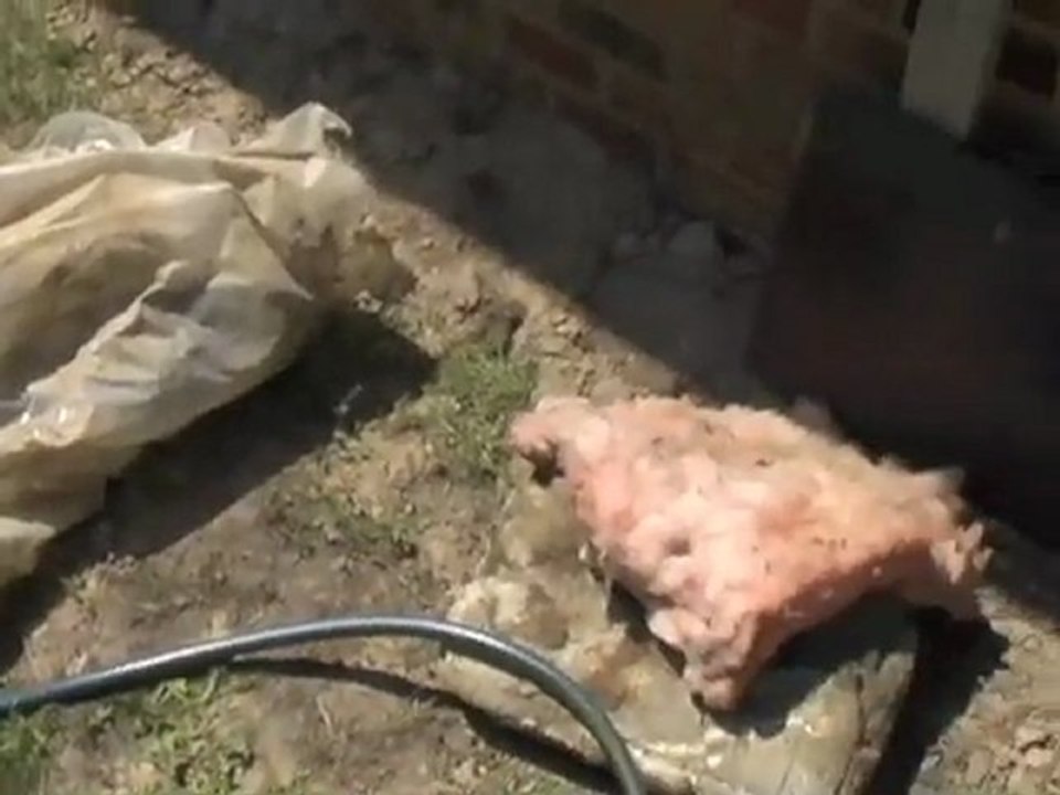 Checking Your Crawl Space for Drainage Problems - Part 1