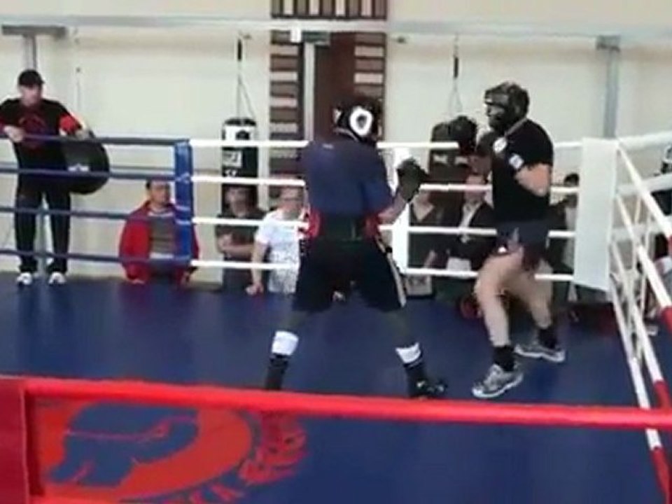 Fedor vs WBO Cruiserweight Champion Denis Lebedev 2