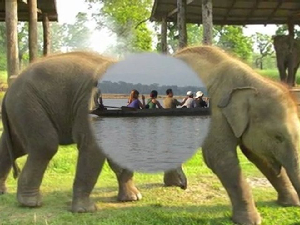 Chitwan National Park ,Sauraha