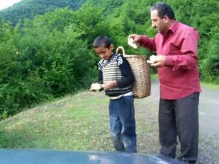 TÜRKELİ YEŞİLOBA VE ÇATAKGÜNEY KÖY