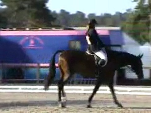 cce fontainebleau dress oberon