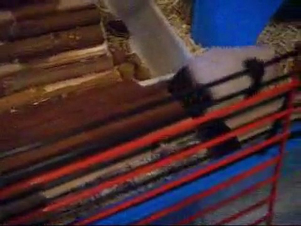 Bandit - sursauts désordonnés 3