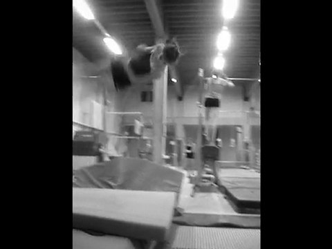 gymnastique artistique féminine