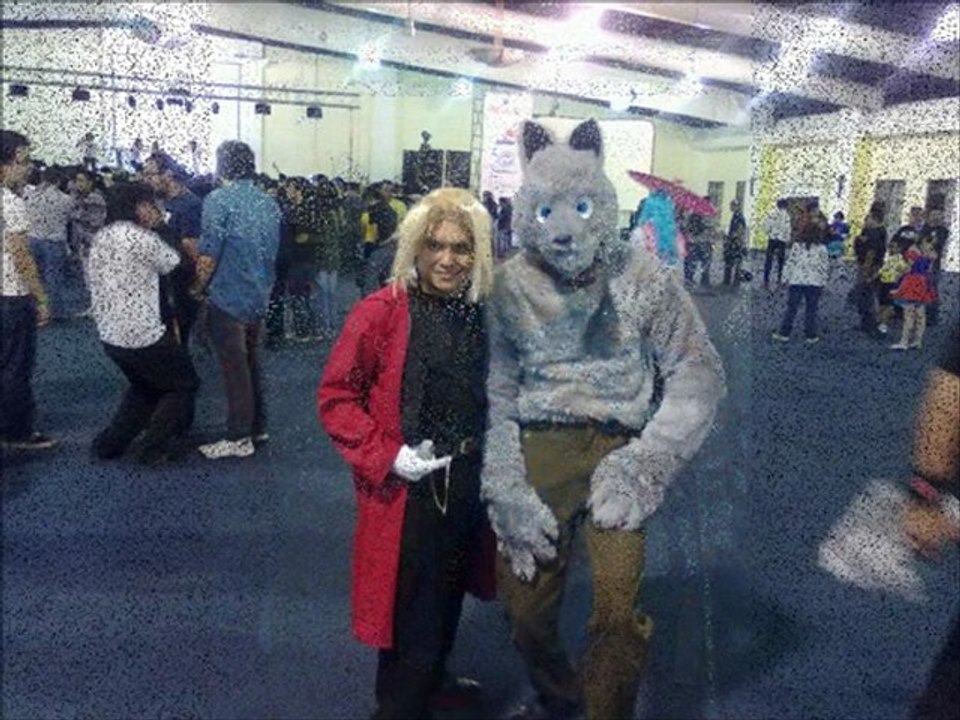 Anicon 2011