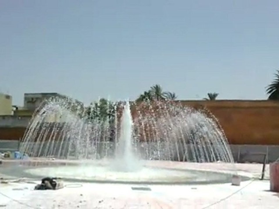 vidéo2011_0801 017