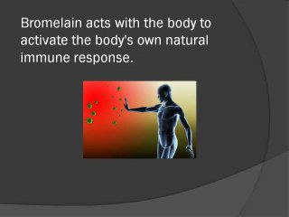 Benefits of Bromelain Powder