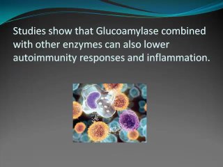 The benefits of Glucoamylase Supplement