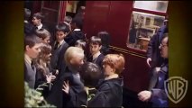Harry Potter and the Deathly Hallows Part I - DVD Bonus - On The Green