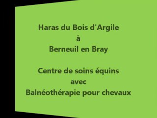 Le haras du Bois d'Argile